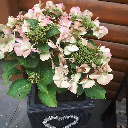 Holiday home Perle In